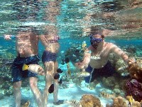 Tahaa