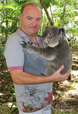 Cuddling a Koala At Lone Pine Koala sanctuary - Brisbane - Australia. December 2018