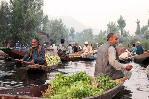 Floating market The morning wholesale vegetable market is truly a great experience in Srinagar - June 08, 2019