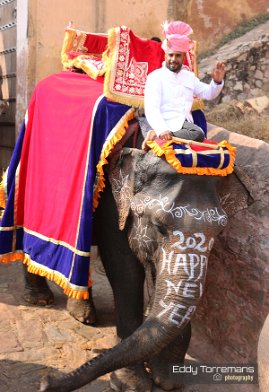 Jaipur Riding an elephant at the Amer Fort of Jaipur. January 2, 2020