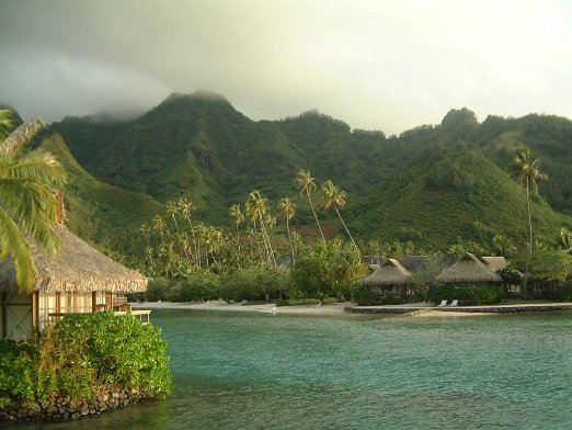 IC Moorea Beachcomber The dramatic coastline of Moorea is really this green - April 2004