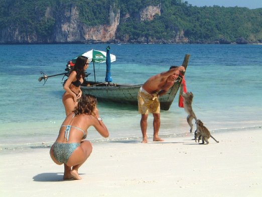 Monkey Island Monkey Island - Krabi - December 2000