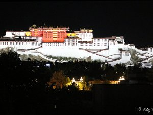Tibet - 2025